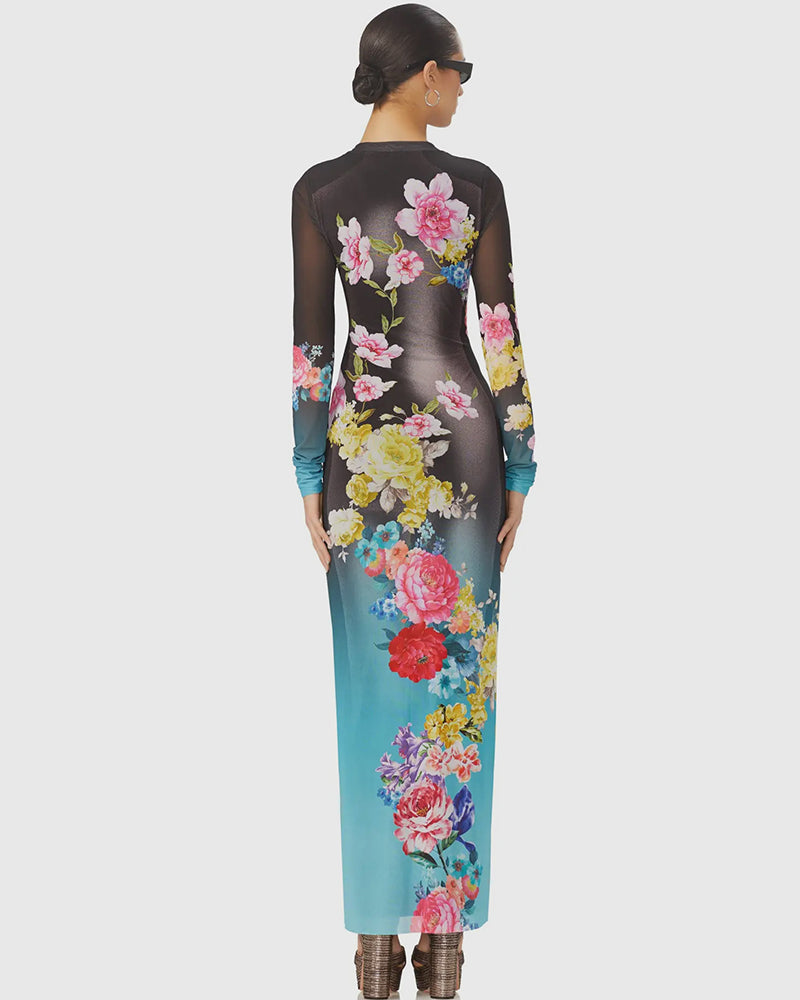 Aqua Rose Sheer Didi Maxi Dress