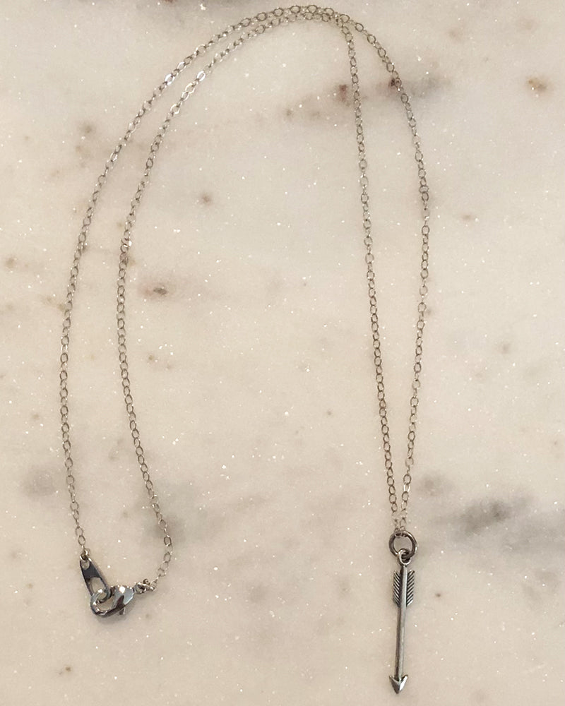 Palm to Pine Silver Arrow Pendant