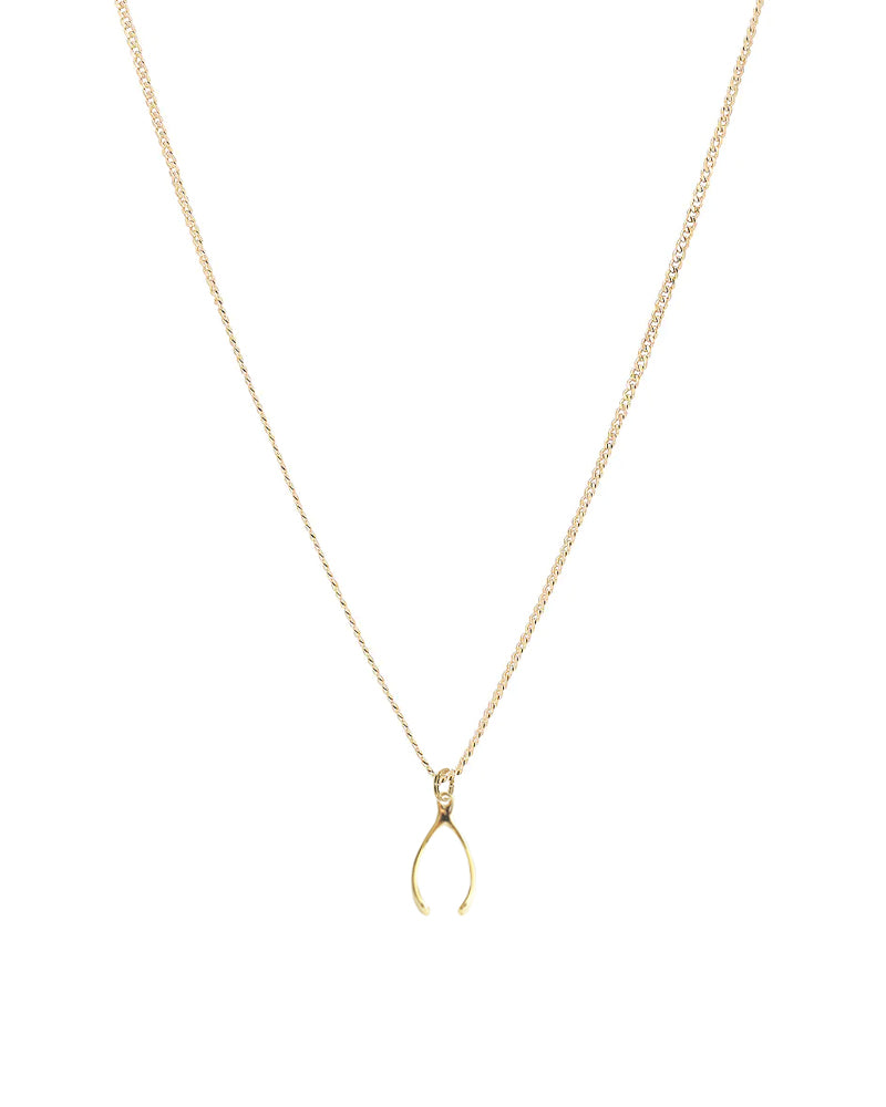 Palm to Pine MINIS Gold Wishbone Pendant