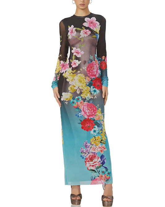 Aqua Rose Sheer Didi Maxi Dress