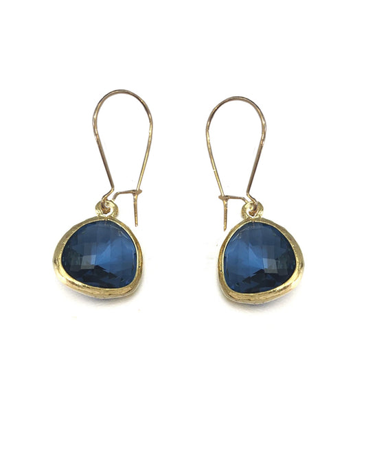 Gold Plated Self Hook Navy Crystal Earring