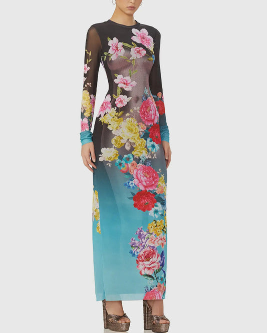 Aqua Rose Sheer Didi Maxi Dress