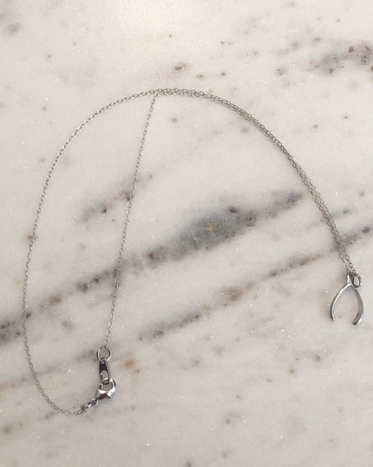 Palm to Pine MINIS Silver Wishbone Pendant