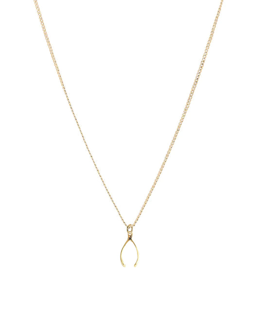 Palm to Pine MINIS Gold Wishbone Pendant
